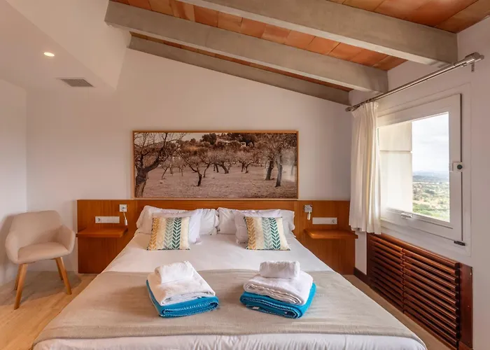 Can Cota Boutique - Turismo De Interior